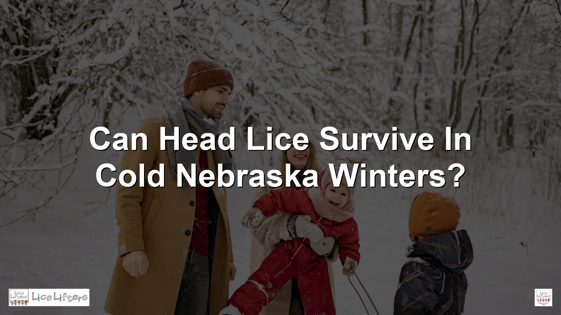 Can Head Lice Survive in Cold Nebraska Winters?