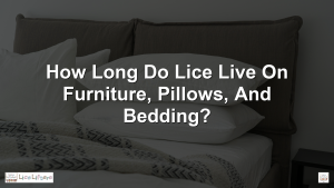 How Long Do Lice Live on Furniture, Pillows, and Bedding?