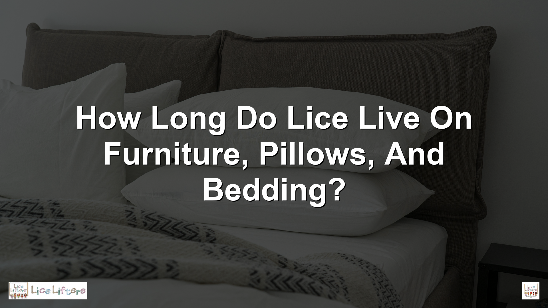 How Long Do Lice Live on Furniture, Pillows, and Bedding?