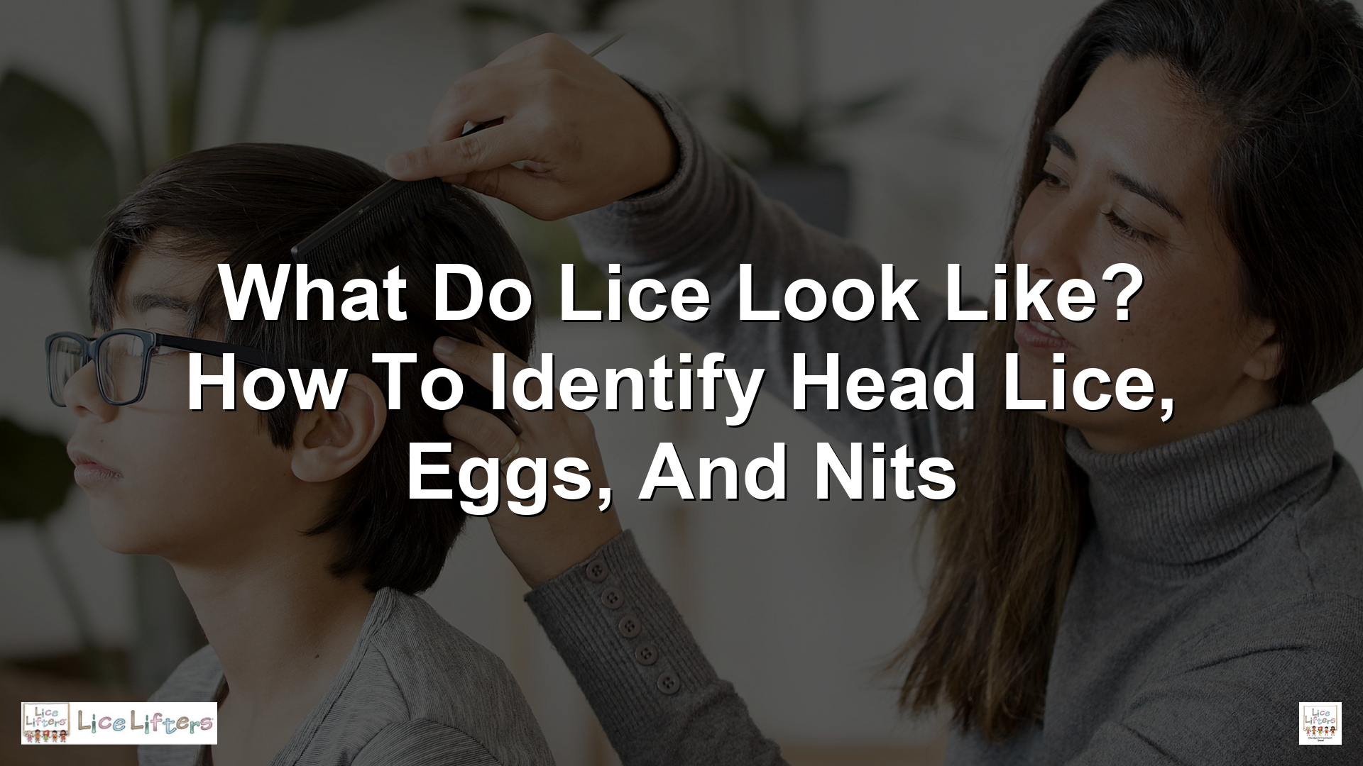 Mother combing child hair checking for lice what do lice look like