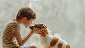 Child kisses the family dog on the nose near a sunny window - the canonical close-contact moment when a parent is wondering whether household pets need to be part of a head lice cleanup.