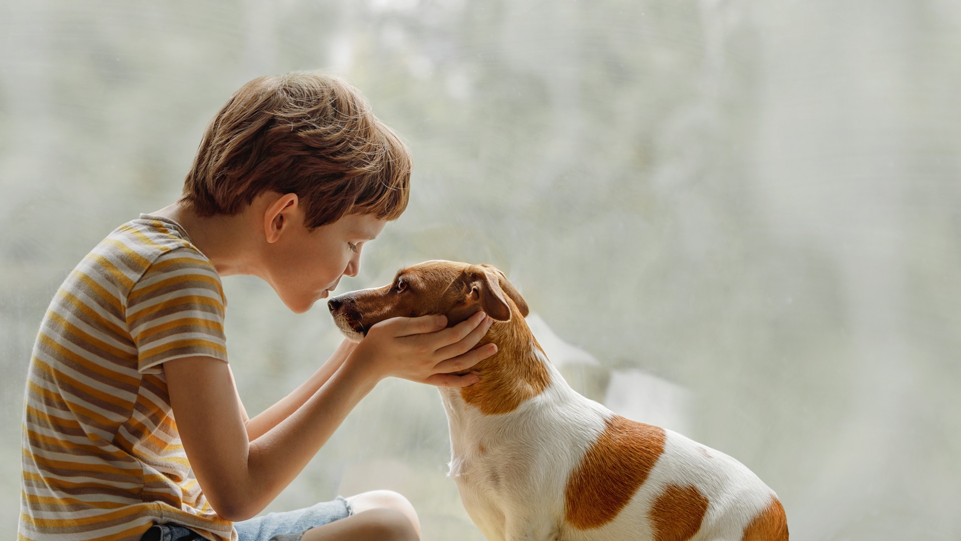 Child kisses the family dog on the nose near a sunny window - the canonical close-contact moment when a parent is wondering whether household pets need to be part of a head lice cleanup.