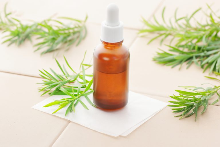 Should You Trust a Tea Tree Oil Shampoo to End Lice?