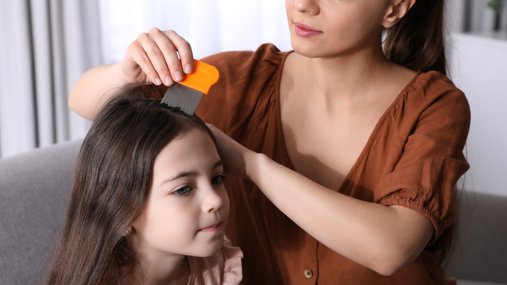 An Omaha parent gently combs through a toddler's hair with a fine metal nit comb in bright light, using wet combing instead of medicated shampoo to safely check a young child for lice.
