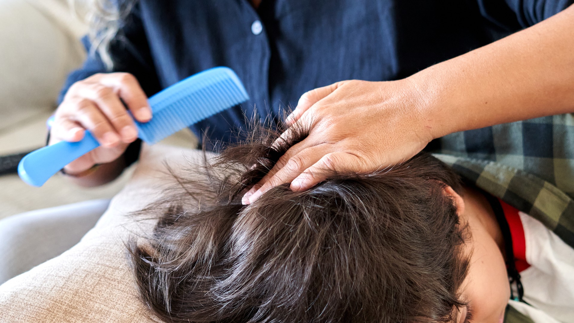 Back-to-School Lice Rarely Stays on One Head