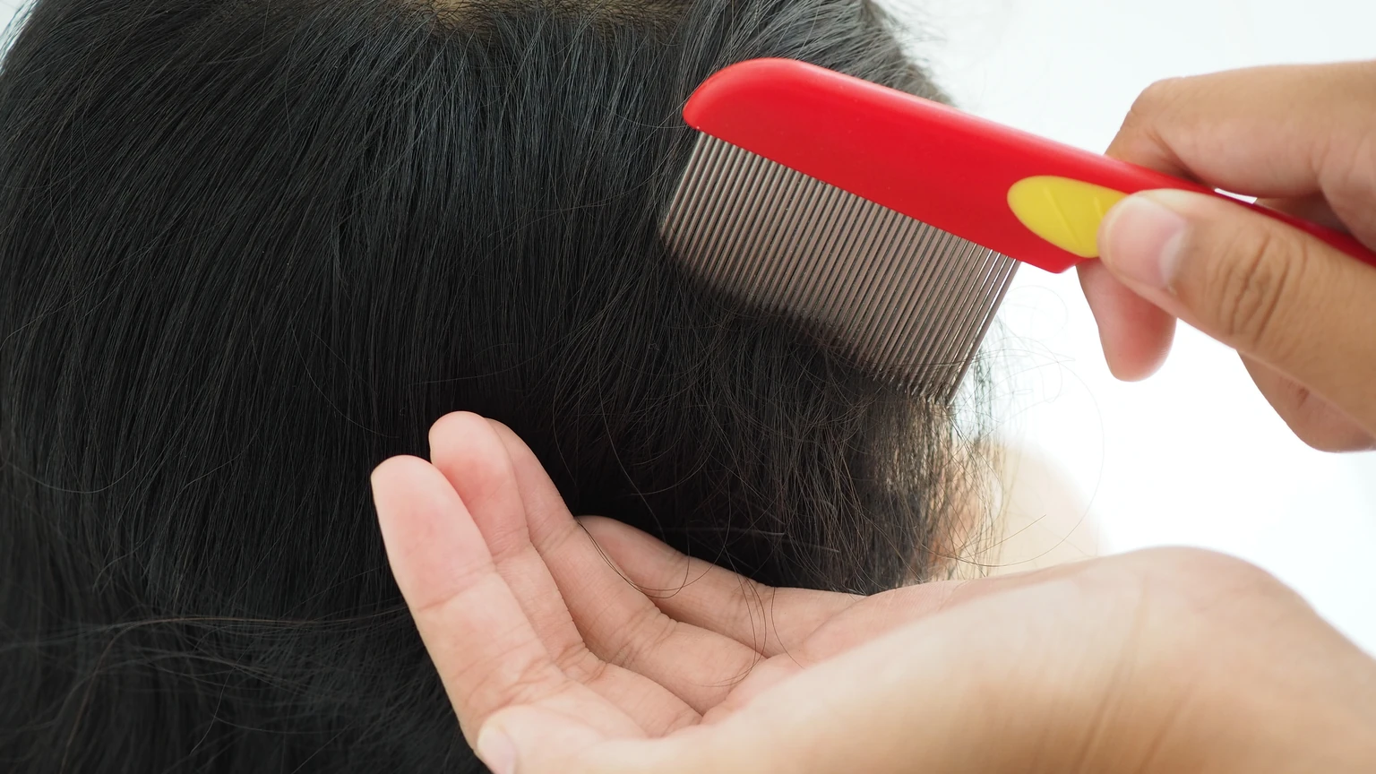 An adult pulls a red fine-toothed lice comb through a child's black hair to check for nits